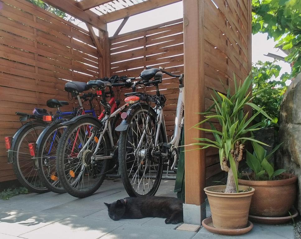 Ferienwohnung Am Elberadweg Dresden Exterior foto
